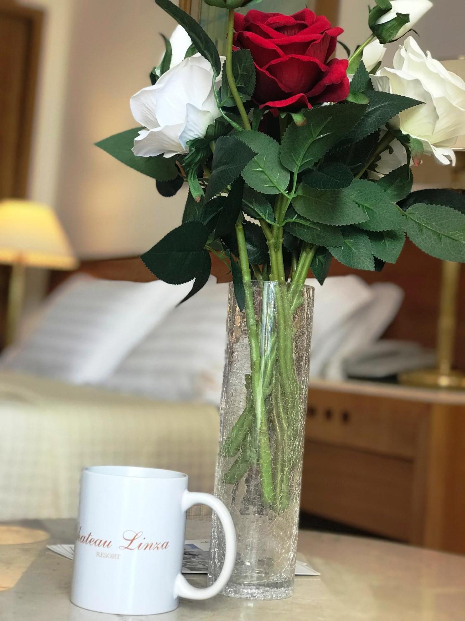 Chateau Linza Resort Tiranë Ngoại thất bức ảnh